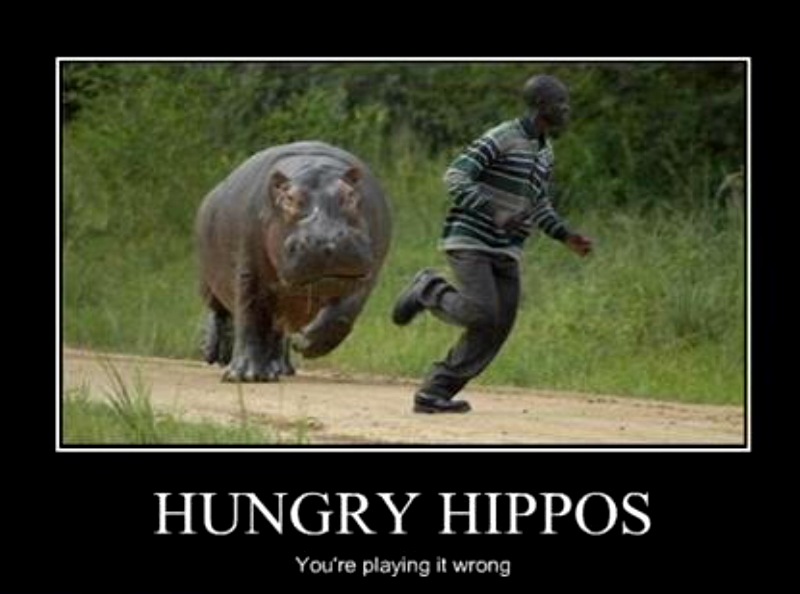 Hungry funny picture. Hunger fun pictures. Hungry Hippo. Hungry hungry Hippos. Playing wrong